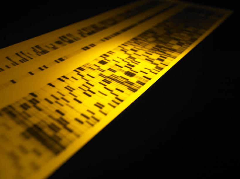 无人,横图,俯视,室内,特写,白天,静物,阴影,黑色背景,光线,科学,基因,影子,灯光,生物,摄影,影棚,遗传,脱氧核糖核酸,DNA分子,去氧核糖核酸,遗传信息,遗传因子,遗传学,彩图,高角度拍摄,影棚拍摄,拍摄,DNA图谱,基因图,基因图谱,DNA序列,核酸的一级结构,核酸序列