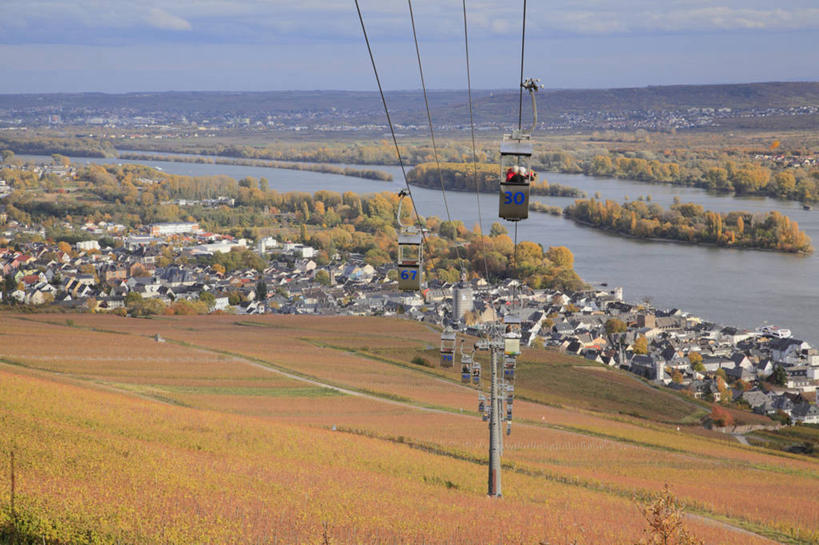 无人,家,果园,横图,俯视,室外,白天,旅游,度假,草地,草坪,河流,美景,水,田园,植物,德国,欧洲,阴影,光线,影子,房屋,屋子,河水,景观,水流,云,云朵,云彩,娱乐,楼房,葡萄园,住宅,缆车,草,树,树木,蓝色,绿色,白云,蓝天,天空,阳光,自然,庄园,交通工具,天,享受,休闲,景色,放松,生长,晴朗,成长,西欧,自然风光,索道,德意志联邦共和国,莱茵河,莱茵兰.普法尔茨州,缆索铁路,吕德斯海姆,晴空,彩图,高角度拍摄,房子