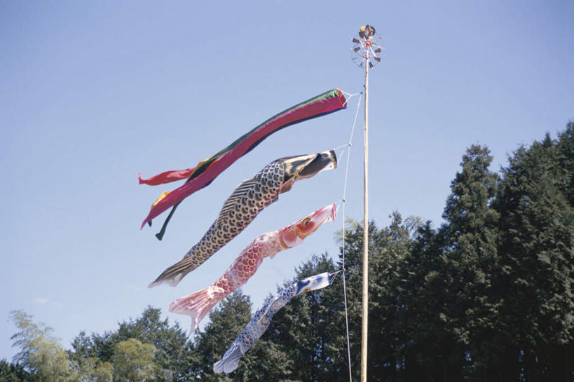 无人,横图,室外,白天,仰视,游戏,植物,玩具,一排,许多,悬挂,节日,庆祝,整齐,云,云朵,玩,云彩,文化,娱乐,树,树木,排列,红色,蓝色,绿色,黑色,白云,蓝天,天空,自然,风筝,天,庆典,休闲,益智,放风筝,生长,成长,活动,纪念,儿童节,纸鸢,队列,发泄,消遣,智力,放鹞子,鹞,鹞子,鸢,木鸢,宣泄,玩耍,嬉戏,彩图,低角度拍摄