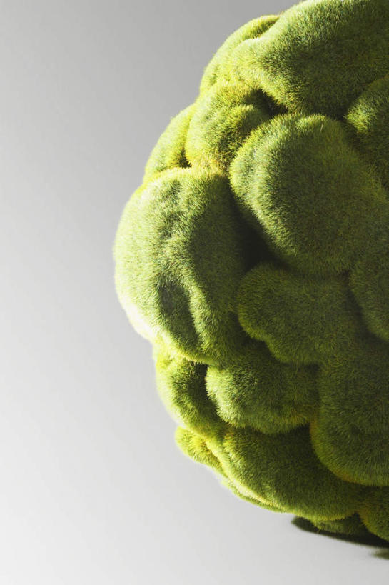 无人,竖图,室内,特写,白天,正面,植物,蔬菜,一棵,灰色背景,新鲜,光线,花菜,花椰菜,西兰花,食品,球状,球,食物,一个,绿色,阳光,球体,摄影,有机食品,绿色食品,影棚,单个,彩图,影棚拍摄,拍摄