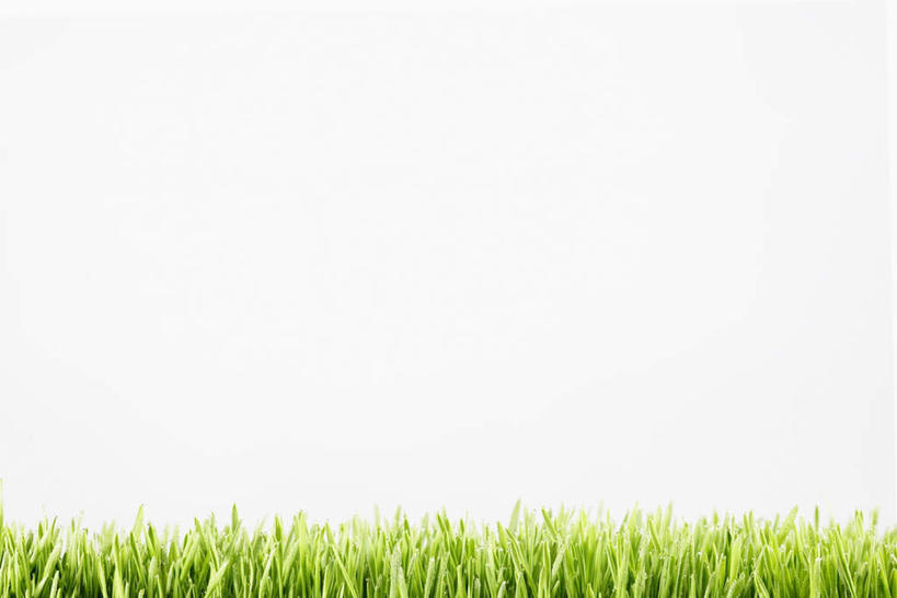 无人,横图,室内,特写,白天,白色背景,正面,水,植物,叶子,一堆,许多,堆叠,堆积,液体,水滴,绿叶,水珠,绿色,露珠,嫩叶,摄影,影棚,堆,麦草,叶,叶片,彩图,影棚拍摄,拍摄