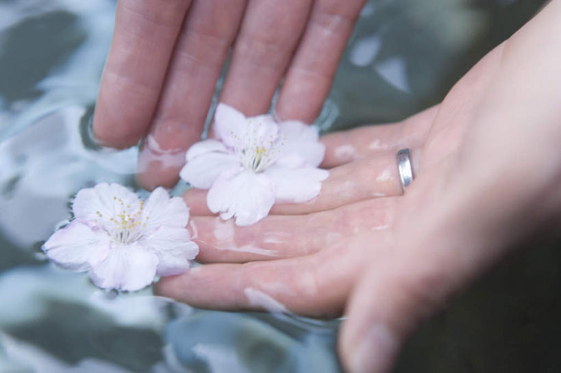 东方人,手,一个人,捧,横图,俯视,室外,特写,白天,河流,水,亚洲,仅一个女性,仅一个人,河水,水流,花蕾,黄种人,花,花瓣,花朵,鲜花,两朵,白色,戒指,花苞,花蕊,仅一个中年女性,手部,女人,女性,中年女性,亚洲人,捧着,手捧,半身,彩图,高角度拍摄