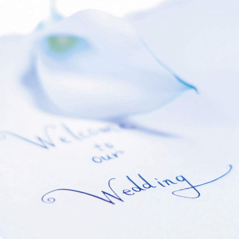 无人,方图,俯视,室内,特写,白天,婚礼,快乐,纯洁,马蹄莲,阴影,朦胧,模糊,庆祝,装饰,光线,标志,文字,信封,影子,字符,字母,结婚,标识,虔诚,阳光,喜庆,纪念,希望,优雅,华丽,修饰,点缀,高贵,邀请,请帖,纯净,马蹄兰,博爱,永恒,尊贵,高洁,慈菇花,衬托,美观,雅致,雅观,圣洁,水芋,水芋马,彩图,高角度拍摄,高兴,请柬