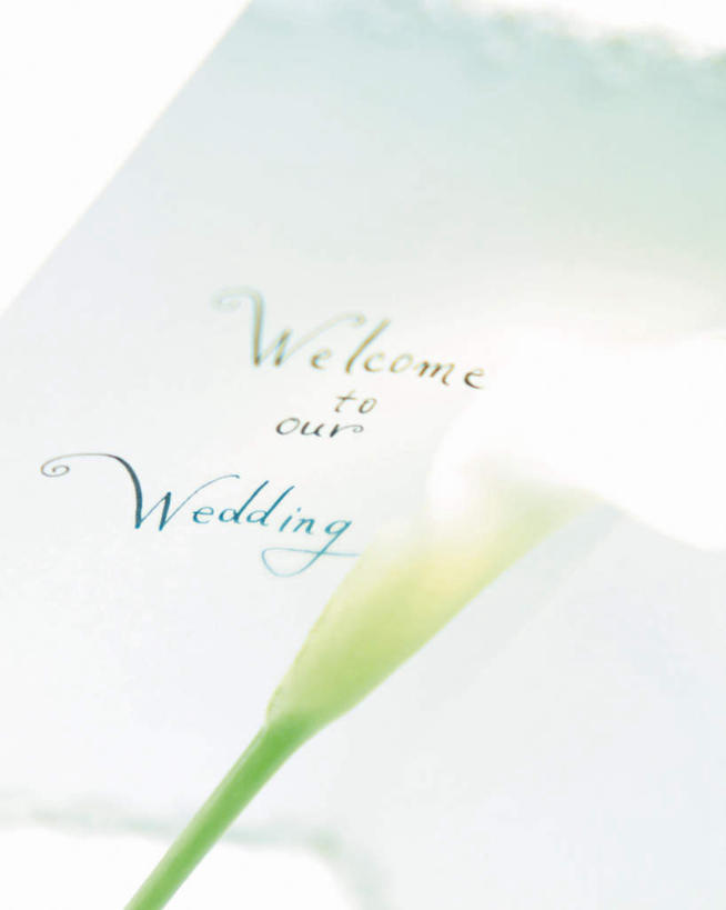 无人,竖图,俯视,室内,特写,白天,婚礼,快乐,纯洁,马蹄莲,阴影,朦胧,模糊,庆祝,装饰,光线,标志,文字,信封,影子,字符,字母,结婚,标识,虔诚,阳光,喜庆,纪念,希望,优雅,华丽,修饰,点缀,高贵,邀请,请帖,纯净,马蹄兰,博爱,永恒,尊贵,高洁,慈菇花,衬托,美观,雅致,雅观,圣洁,水芋,水芋马,彩图,高角度拍摄,高兴,请柬