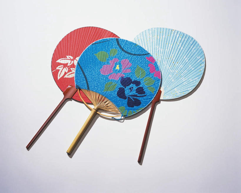 无人,横图,室内,特写,白天,白色背景,正面,静物,日本文化,盛开,扇子,图案,清凉,花蕾,凉爽,文化,花,花瓣,花朵,鲜花,三个,红色,蓝色,花苞,花蕊,摄影,影棚,彩图,影棚拍摄,拍摄,传统文化