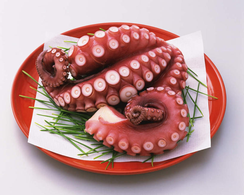 腿部,腿,无人,横图,俯视,室内,特写,白天,白色背景,章鱼,蔬菜,餐具,叶子,一堆,一张,许多,堆叠,堆积,新鲜,装饰,触须,碟子,盘,葱,青葱,食品,绿叶,食物,一个,红色,白纸,盘子,碟,嫩叶,摄影,有机食品,绿色食品,影棚,单个,堆,华丽,修饰,石吸,死牛,望潮,坐蛸,点缀,衬托,美观,雅致,雅观,叶,叶片,石居,八爪鱼,彩图,高角度拍摄,影棚拍摄,拍摄