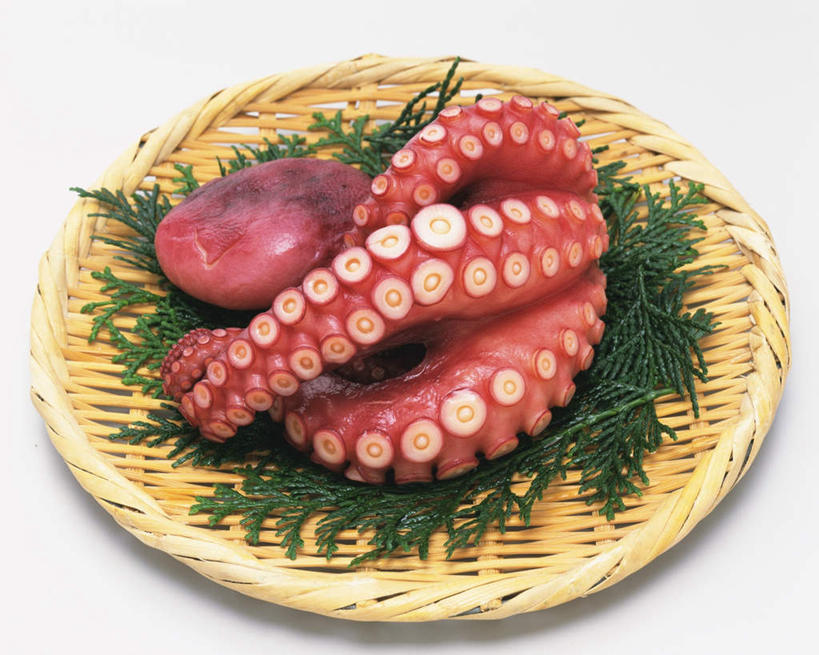 腿部,腿,无人,横图,俯视,室内,特写,白天,白色背景,章鱼,蔬菜,叶子,一堆,许多,堆叠,堆积,新鲜,装饰,触须,篮子,盘,葱,青葱,食品,绿叶,食物,一个,黄色,红色,嫩叶,摄影,有机食品,绿色食品,影棚,单个,堆,华丽,修饰,石吸,死牛,望潮,坐蛸,点缀,衬托,美观,雅致,雅观,叶,叶片,石居,八爪鱼,彩图,高角度拍摄,影棚拍摄,拍摄