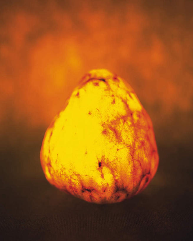 无人,竖图,室内,特写,白天,正面,水果,阴影,黄色背景,朦胧,模糊,新鲜,发光,反射,光线,影子,生食,食品,果实,食物,一个,黄色,黑色,闪耀,番荔枝,有机食品,绿色食品,单个,明亮,释迦,佛头果,彩图