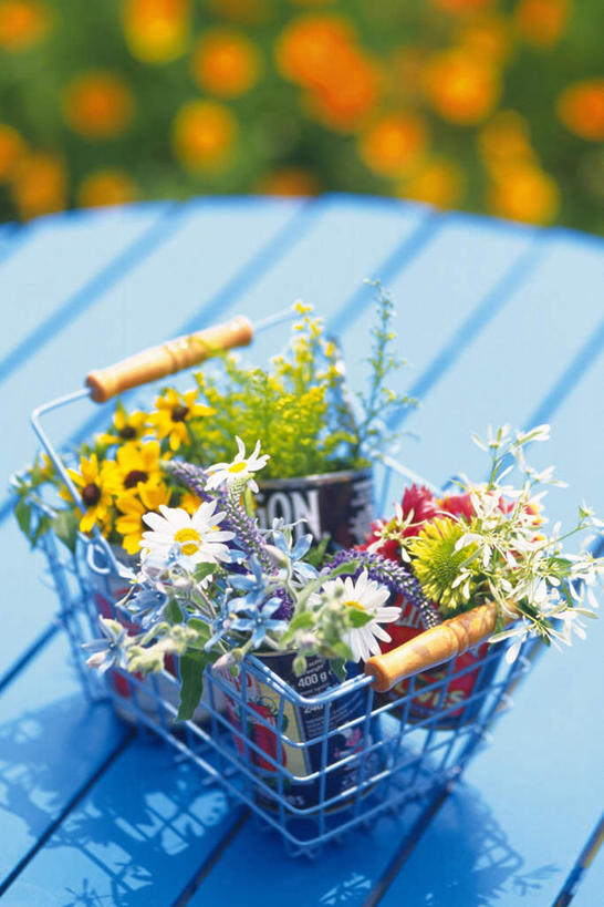 无人,竖图,俯视,室外,特写,白天,桌子,向日葵,许多,阴影,朦胧,模糊,盛开,光线,花篮,影子,玛格丽特,花蕾,雏菊,花,花瓣,花朵,鲜花,阳光,花苞,花蕊,菊花,高雅,延命菊,幸福花,春菊,马兰头花,淡泊,花中君子,朝阳花,葵花,兰花,望日莲,向阳花,转日莲,彩图,高角度拍摄