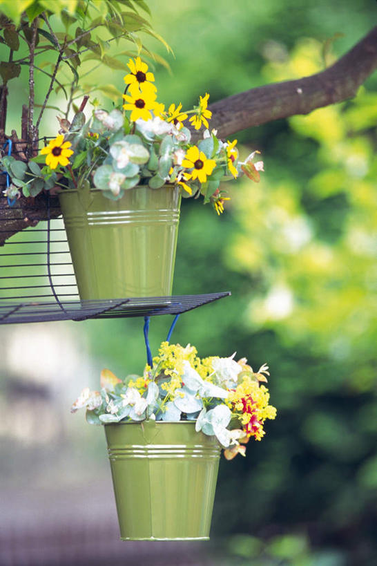 无人,竖图,室外,特写,白天,正面,旅游,度假,美景,植物,许多,朦胧,模糊,盛开,铁桶,桶,景观,娱乐,花,花瓣,花朵,花卉,鲜花,黄色,自然,容器,花蕊,享受,休闲,景色,放松,储藏,储存,自然风光,黑心菊,彩图,贮存