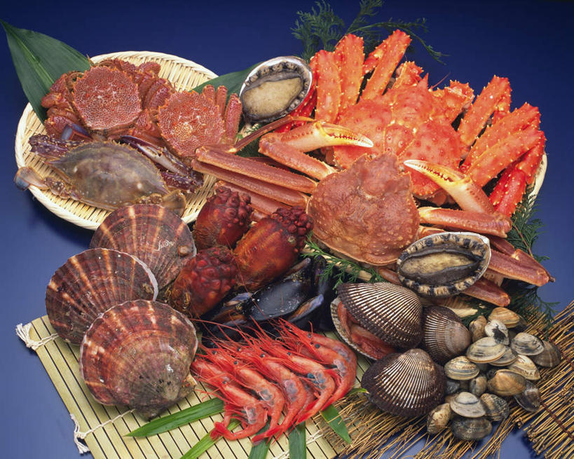 海鲜,无人,横图,俯视,室内,特写,白天,桌面,贝壳,叶子,一堆,许多,阴影,堆叠,堆积,蓝色背景,反射,影子,虾,绿叶,帝王蟹,水产,海洋生物,嫩叶,摄影,鲍鱼,影棚,堆,海鞘,水生动物,海产品,水生物,海底动物,皇帝蟹,鲍,海奶子,海中凤梨,叶,叶片,贝类外壳,海螺壳,软体动物外壳,彩图,高角度拍摄,影棚拍摄,拍摄