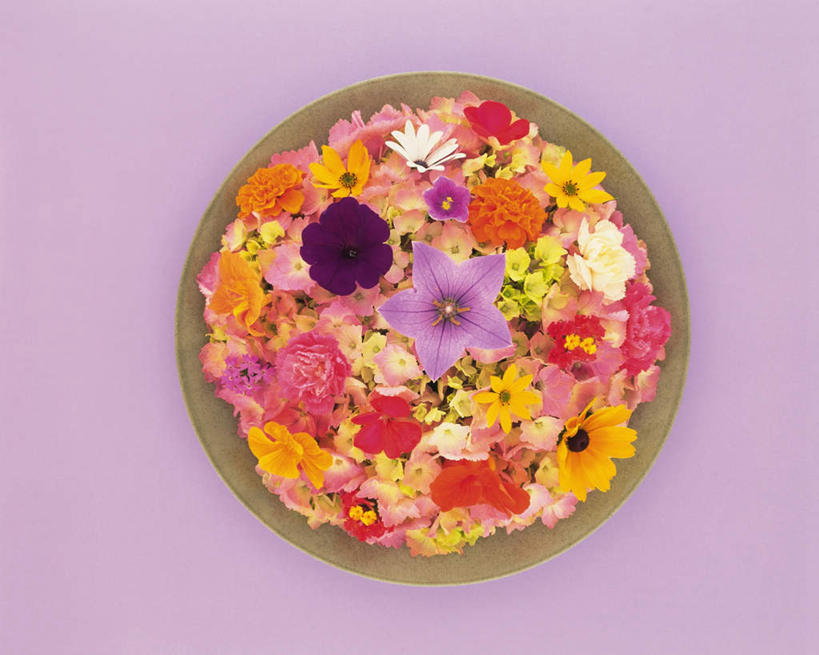 无人,横图,俯视,室内,特写,白天,热情,康乃馨,餐具,许多,阴影,紫色背景,盛开,反射,碟子,盘,影子,祝福,花蕾,花,花瓣,花朵,鲜花,盘子,碟,花苞,花蕊,母爱,清纯,摄影,影棚,亲情,萝小花,思念,黑心菊,宽容,热恋,真挚,翠雀,热心,大花飞燕草,飞燕草,麝香石竹,石竹,香石竹,彩图,高角度拍摄,影棚拍摄,拍摄,魅力