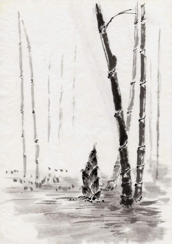 无人,竖图,黑白,室内,白天,正面,绘画,美景,树林,植物,竹子,许多,艺术,景观,竹笋,古典,文化,笋,树,树木,一个,绿色,自然,工艺品,品味,景色,生长,成长,美术,高雅,自然风光,国画,水墨画,美学,水墨