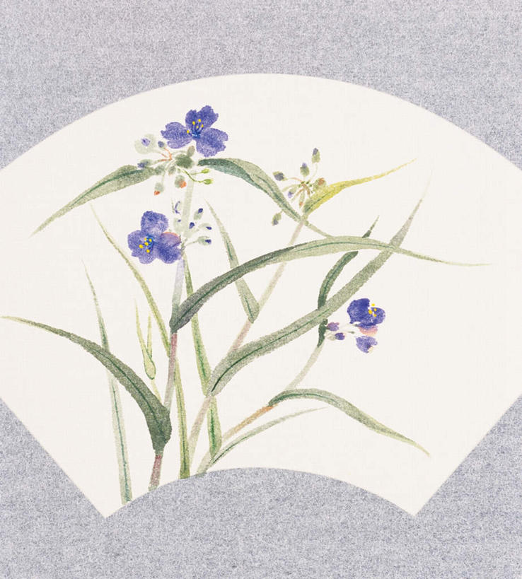 无人,竖图,插画,室内,白天,白色背景,正面,绘画,数码,科技,植物,叶子,许多,阴影,艺术,盛开,网络,绿叶,高光,几何,计算机图形,古典,合成,图画,文化,画,花,花瓣,花朵,花卉,鲜花,花蕊,品味,嫩叶,扇形,美术,电脑合成图,数码合成图,高雅,草本,漫画,写实,具体,具象,美学,鸭拓草,叶,叶片,彩图