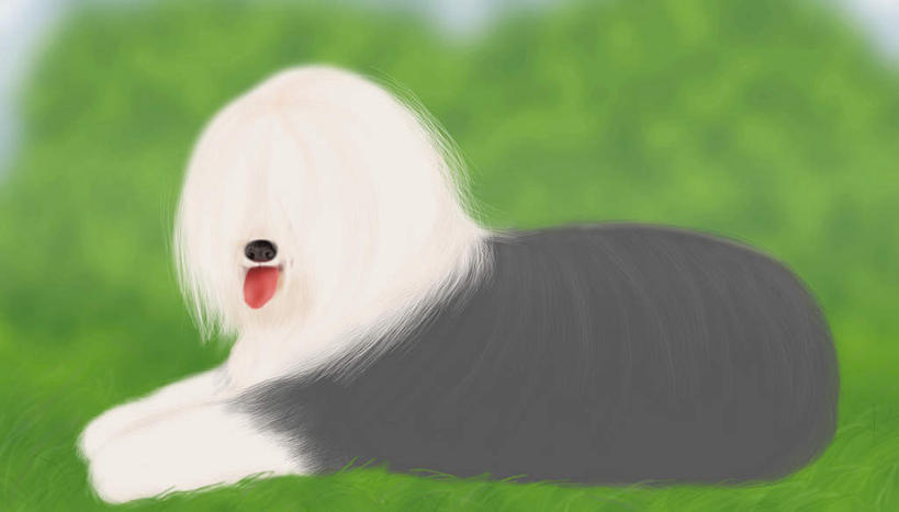 无人,躺,横图,插画,室内,白天,侧面,数码,科技,草地,草坪,植物,宠物,狗,阴影,网络,高光,几何,计算机图形,合成,图画,吐舌头,画,草,一只,绿色,动物,伸舌头,吐舌,可爱,牧羊犬,电脑合成图,数码合成图,漫画,忠诚,写实,具体,具象,古代牧羊犬,古牧,截尾犬,英国古代牧羊犬,卧着,犬,躺着,卧,彩图,全身