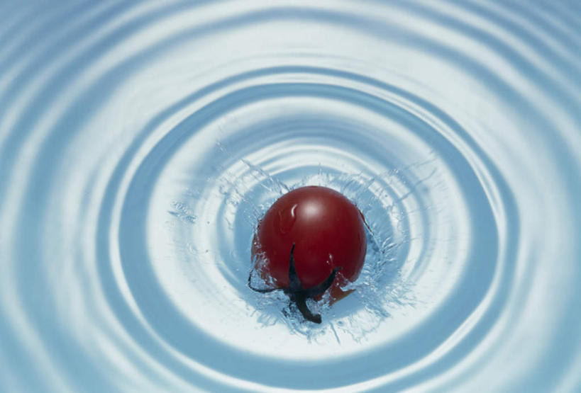 无人,横图,俯视,室内,特写,白天,水,西红柿,水果,波纹,飞溅,新鲜,溅,液体,同心圆,水滴,生食,食品,果实,水珠,食物,一个,红色,白色,水纹,有机食品,绿色食品,单个,喷洒,樱桃番茄,圣女果,番茄,彩图,高角度拍摄