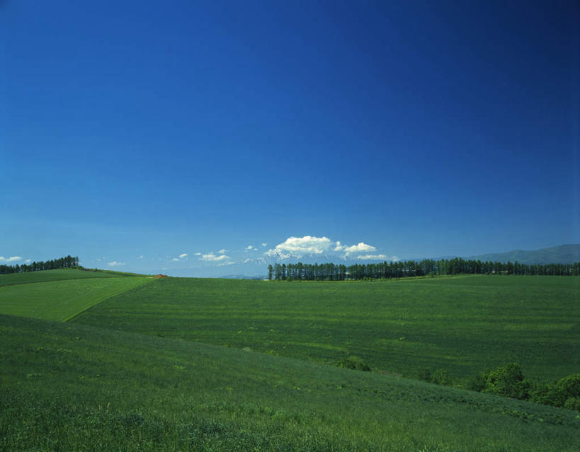 无人,横图,室外,白天,仰视,旅游,度假,草地,草坪,美景,树林,植物,北海道,日本,亚洲,许多,景观,云,云朵,辽阔,云彩,娱乐,草,树,树木,蓝色,绿色,白云,蓝天,天空,自然,天,享受,休闲,景色,放松,生长,晴朗,成长,空旷,自然风光,东亚,日本国,北海道地方,北海道岛,美瑛町,美瑛,开阔,晴空,彩图,低角度拍摄