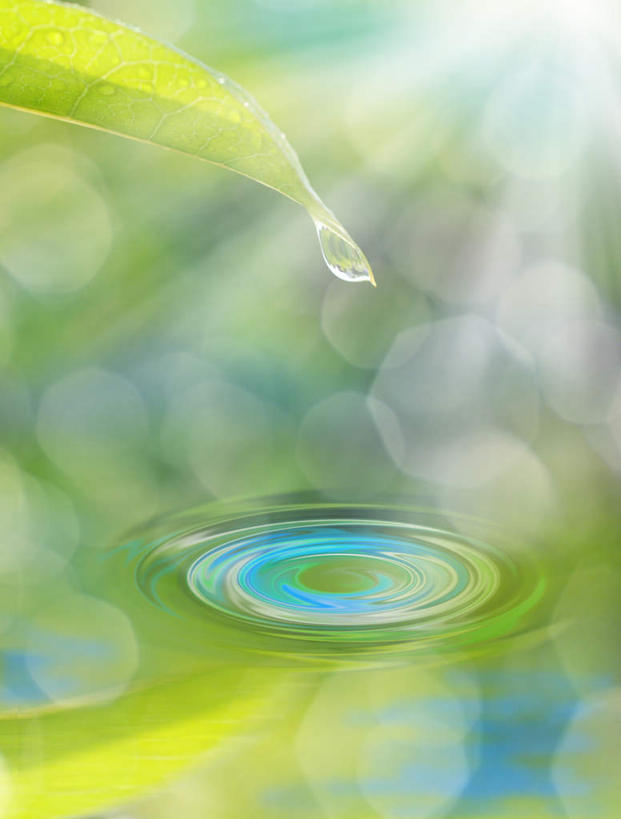 无人,竖图,俯视,室内,白天,抽象,数码,科技,水,叶子,阴影,网络,圆形,液体,同心圆,水滴,绿叶,漩涡,高光,几何,计算机图形,合成,嫩叶,夸张,刺眼,耀眼,电脑合成图,数码合成图,环形,深奥,叶,叶片,彩图,高角度拍摄,夺目
