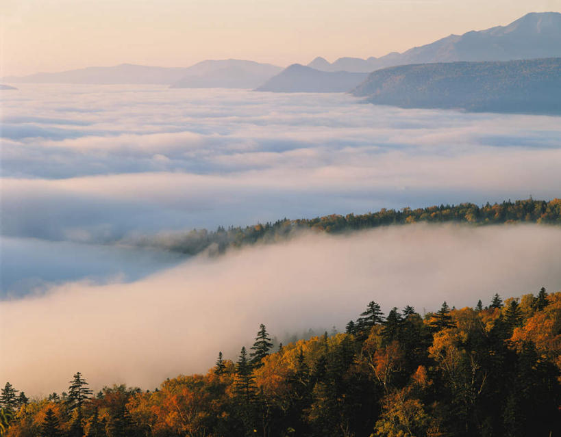 无人,横图,俯视,室外,白天,旅游,度假,美景,山,树林,植物,雾,日本,亚洲,许多,覆盖,朦胧,模糊,景观,山峰,山峦,娱乐,树,树木,蓝色,绿色,蓝天,天空,自然,天,包围,享受,休闲,景色,放松,生长,晴朗,成长,迷雾,自然风光,东亚,万里无云,日本国,九州本岛,九州,九州岛,九州地方,宫崎,宫崎县,笼罩,大雾,晴空,晴空万里,彩图,高角度拍摄