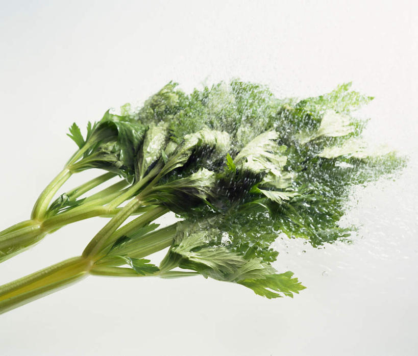无人,横图,室内,特写,白天,白色背景,正面,水,芹菜,飞溅,新鲜,溅,液体,水滴,食品,水珠,食物,两个,嫩叶,摄影,有机食品,绿色食品,影棚,喷洒,叶,药芹,水芹,旱芹,彩图,影棚拍摄,拍摄