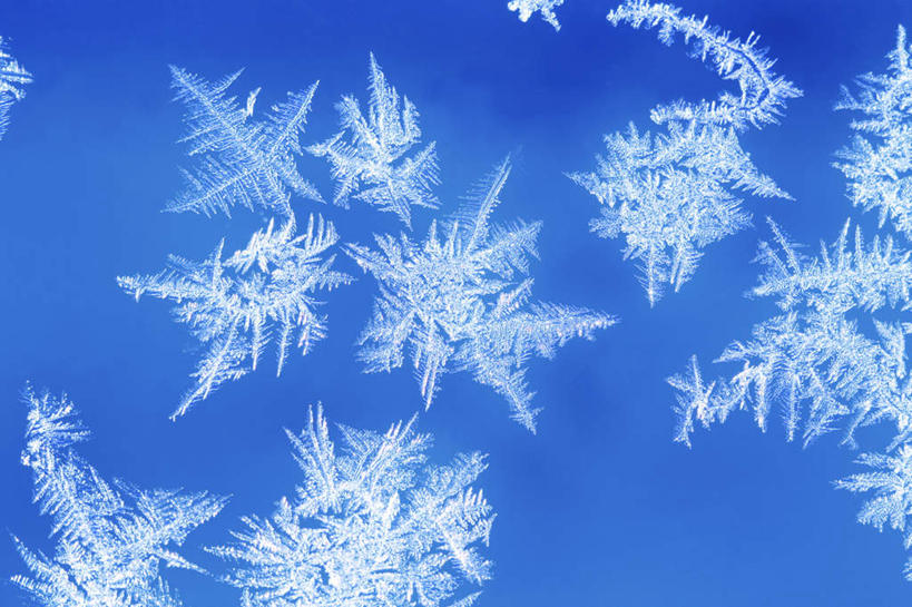无人,横图,室内,特写,白天,正面,美景,景观,雪花,冬季,冬天,蓝色,白色,蓝天,天空,自然,天,景色,寒冷,摄影,影棚,自然风光,严寒,彩图,影棚拍摄,拍摄