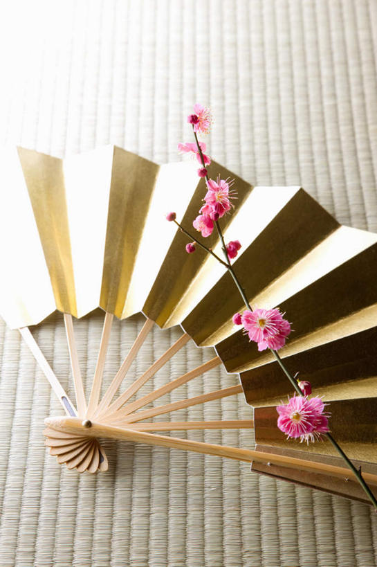 无人,竖图,俯视,室内,特写,白天,桌面,桌子,一把,许多,日本文化,盛开,木制,扇子,折扇,纸扇,梅花,清凉,花蕾,凉爽,文化,花,花瓣,花朵,鲜花,红色,木制品,夏天,花苞,花蕊,金色,摄影,影棚,高雅,坚强,撒扇,梅,彩图,高角度拍摄,影棚拍摄,拍摄,传统文化
