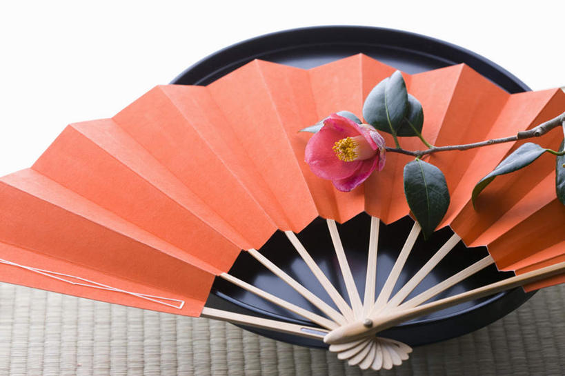 无人,横图,俯视,室内,特写,白天,桌面,桌子,山茶花,餐具,叶子,一把,日本文化,盛开,木制,碟子,盘,扇子,折扇,纸扇,绿叶,清凉,花蕾,凉爽,文化,花,花瓣,花朵,鲜花,一朵,粉色,盘子,木制品,碟,夏天,花苞,花蕊,橙色,嫩叶,摄影,影棚,玉茗花,耐冬,撒扇,海石榴,茶花,叶,叶片,彩图,高角度拍摄,影棚拍摄,拍摄,传统文化