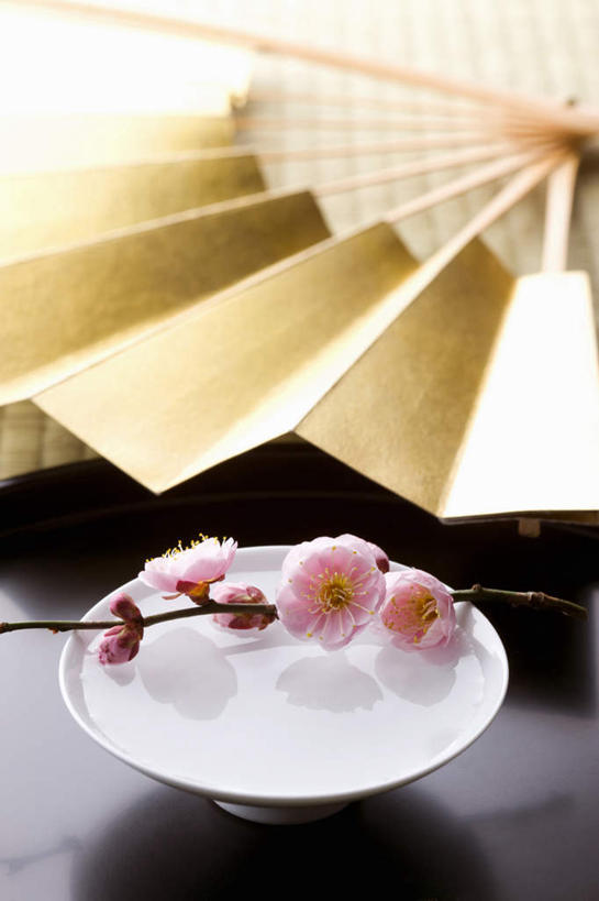 清酒,无人,竖图,俯视,室内,特写,白天,水,桌面,桌子,一把,许多,阴影,日本文化,盛开,反射,木制,扇子,液体,影子,折扇,纸扇,陶瓷,水滴,梅花,陶瓷制品,酒类,清凉,花蕾,凉爽,文化,酒,酒瓶,花,花瓣,花朵,鲜花,饮料,粉色,木制品,瓶子,碗,夏天,花苞,花蕊,金色,摄影,影棚,高雅,坚强,撒扇,梅,彩图,高角度拍摄,影棚拍摄,拍摄,清酒瓶,传统文化