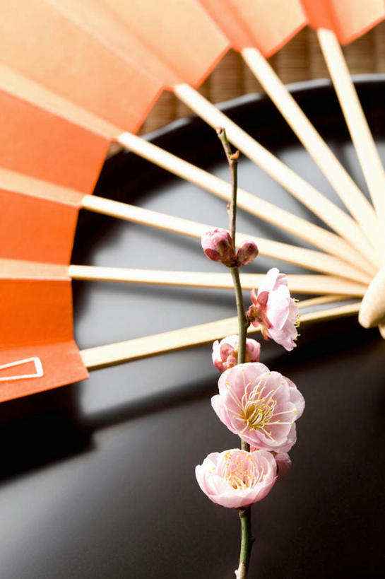 无人,竖图,俯视,室内,特写,白天,桌面,桌子,餐具,一把,许多,阴影,日本文化,盛开,反射,木制,碟子,盘,扇子,影子,折扇,纸扇,梅花,清凉,花蕾,凉爽,文化,花,花瓣,花朵,鲜花,一个,粉色,盘子,木制品,碟,夏天,花苞,花蕊,橙色,摄影,影棚,单个,高雅,坚强,撒扇,梅,彩图,高角度拍摄,影棚拍摄,拍摄,传统文化