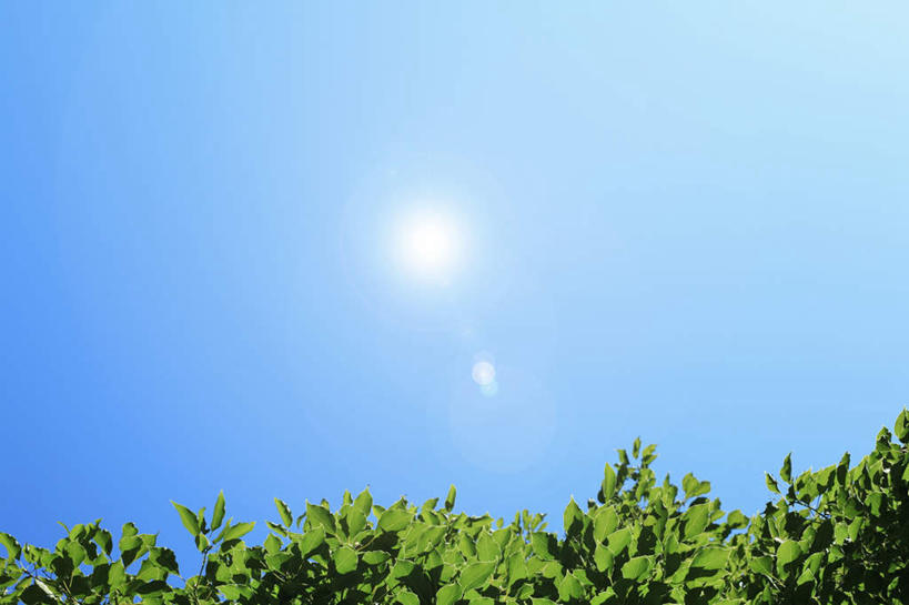 无人,横图,室外,白天,仰视,旅游,度假,美景,植物,叶子,阴影,光线,影子,景观,娱乐,树,树木,蓝色,绿色,蓝天,天空,阳光,自然,天,享受,休闲,嫩叶,景色,放松,生长,晴朗,成长,自然风光,万里无云,叶,叶片,晴空,晴空万里,彩图,低角度拍摄