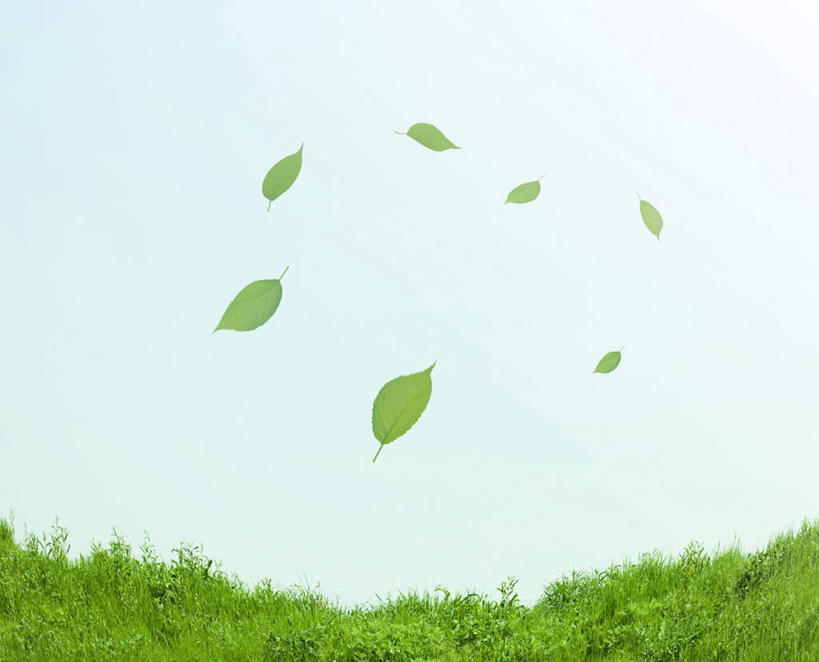 无人,横图,室内,白天,正面,数码,科技,草地,草坪,植物,叶子,许多,阴影,飘扬,网络,绿叶,高光,几何,计算机图形,合成,草,蓝色,绿色,蓝天,天空,天,嫩叶,晴朗,摇曳,电脑合成图,数码合成图,万里无云,写实,具体,具象,浮荡,漂荡,飘零,叶,叶片,晴空,晴空万里,彩图,飘荡