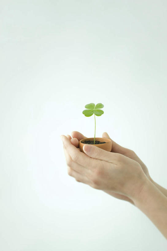 东方人,手,一个人,举,竖图,室内,特写,白天,白色背景,侧面,自由,亚洲,双手,仅一个年轻女性,仅一个女性,仅一个人,握,四叶草,拿,拿着,黄种人,幸运草,托,手部,握着,摄影,影棚,和平,牛角花,统一,团结,幸运,年轻女性,女人,女性,亚洲人,举起,举手,举着,向上举,向上伸,向上托,半身,彩图,影棚拍摄,拍摄