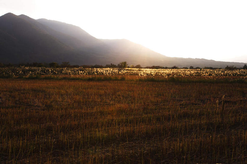 无人,农田,横图,室外,白天,正面,旅游,度假,农业,庄稼,农作物,草地,草坪,美景,秋季,日落,山,山脉,植物,日本,亚洲,丰收,朦胧,模糊,稻田,景观,山峰,晚霞,霞光,落日,山峦,背光,娱乐,草,绿色,自然,黄昏,群山,享受,休闲,景色,彩霞,放松,收获,自然风光,逆光,东亚,本州,本州岛,日本国,东北地方,福岛,福岛县,夕照,秋,秋天,夕阳,彩图,耕地,庄稼田,斜阳