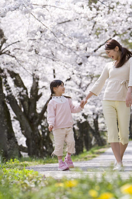 东方人,儿童,两个人,家庭,母亲,女儿,走,握手,说,竖图,室外,白天,正面,讨论,纯洁,草地,草坪,植物,道路,路,樱花,亚洲,一排,阴影,服装,朦胧,模糊,整齐,盛开,光线,影子,小路,交通,花蕾,休闲装,黄种人,相视,草,花,花瓣,花朵,鲜花,树,树木,排列,小孩,衣服,绿色,白色,阳光,自然,花苞,花蕊,休闲,温暖,温馨,母女,一家人,面对面,休闲服,可爱,母爱,童年,童趣,服饰,乡间小路,生长,成长,对视,和睦,队列,相对,童真,烂漫,无邪,相看,仙樱花,福岛樱,青肤樱,交流,天真,年轻女性,女孩,女人,女性,亚洲人,孩子,年轻人,荆桃,步行,搀手,沟通,讲话,交谈,拉手,散步,商讨,手搀手,手拉手,手牵手,手握手,说话,谈话,走路,彩图,全身,融洽,女生