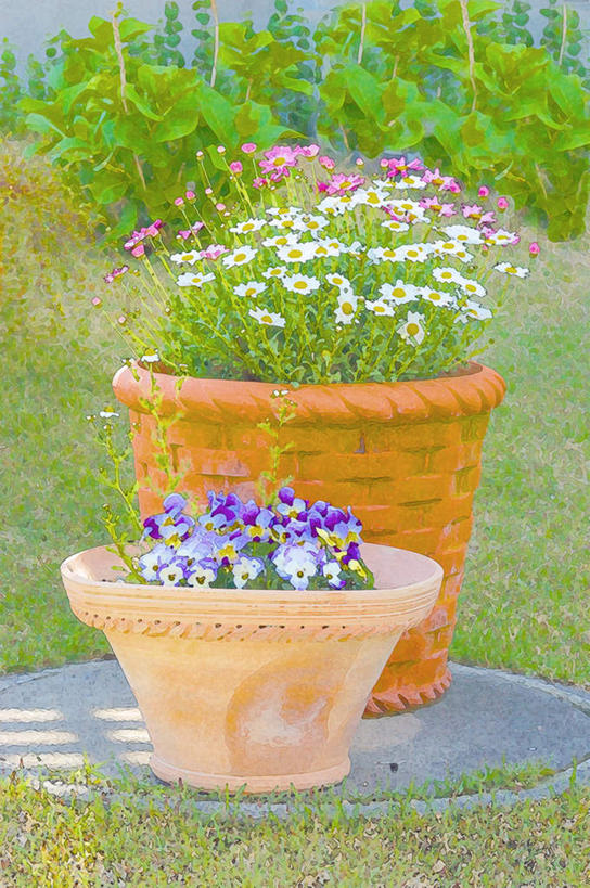 无人,竖图,室内,白天,正面,绘画,数码,科技,草地,草坪,植物,许多,阴影,艺术,盛开,光线,网络,盆栽,影子,盆景,高光,几何,计算机图形,古典,合成,花蕾,文化,草,花,花瓣,花朵,鲜花,绿色,紫色,阳光,自然,工艺品,花苞,花蕊,品味,生长,成长,美术,电脑合成图,数码合成图,水彩,水彩画,高雅,写实,具体,具象,美学,彩图