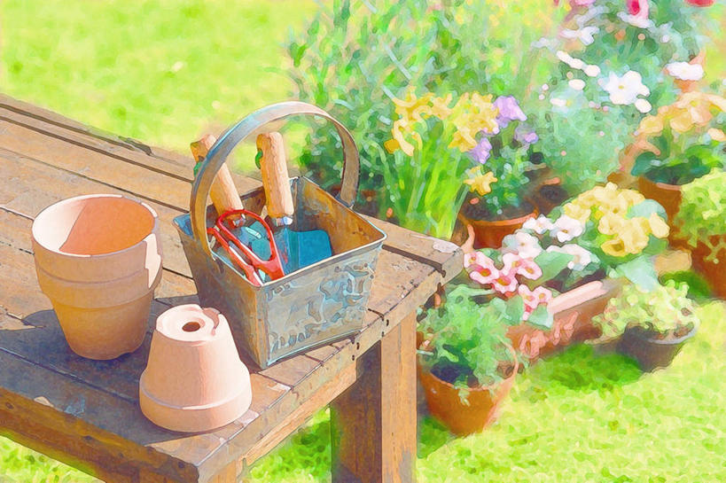 无人,横图,俯视,室内,白天,绘画,数码,科技,草地,草坪,植物,餐桌,桌子,阴影,艺术,盛开,光线,网络,铲子,工具,盆栽,铁桶,桶,影子,盆景,高光,几何,计算机图形,古典,合成,花蕾,文化,草,花,花瓣,花朵,鲜花,绿色,阳光,自然,容器,工艺品,花苞,花蕊,品味,生长,成长,餐台,储藏,美术,电脑合成图,数码合成图,水彩,水彩画,高雅,储存,写实,具体,具象,美学,彩图,高角度拍摄,贮存