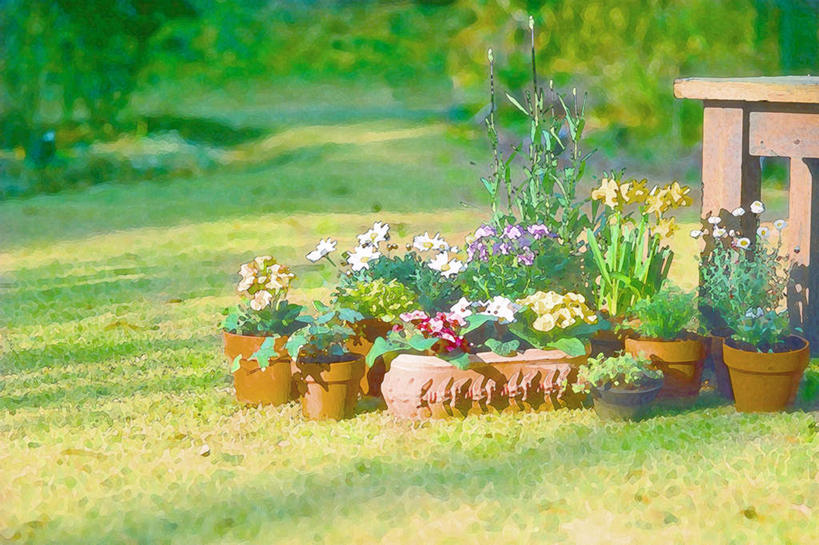 无人,横图,室内,白天,正面,绘画,数码,科技,草地,草坪,植物,餐桌,桌子,阴影,艺术,光线,网络,盆栽,影子,盆景,高光,几何,计算机图形,古典,合成,文化,草,树,树木,绿色,阳光,自然,工艺品,品味,生长,成长,餐台,美术,电脑合成图,数码合成图,水彩,水彩画,高雅,写实,具体,具象,美学,彩图