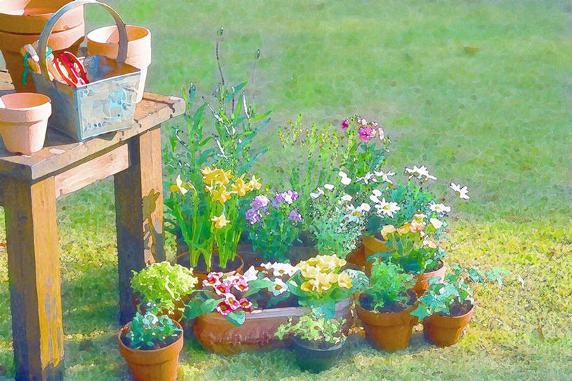 无人,横图,俯视,室内,白天,绘画,数码,科技,草地,草坪,植物,桌子,许多,修剪,阴影,艺术,盛开,光线,网络,木制,工具,剪刀,盆栽,影子,盆景,高光,几何,计算机图形,古典,合成,花蕾,文化,草,花,花瓣,花朵,鲜花,绿色,阳光,自然,工艺品,花苞,花蕊,品味,生长,成长,裁剪,美术,电脑合成图,数码合成图,水彩,水彩画,剪子,剪裁,切割,高雅,写实,具体,具象,美学,彩图,高角度拍摄