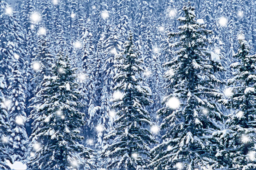 无人,横图,室内,特写,白天,正面,绘画,数码,科技,森林,树林,雪,植物,大雪,一排,许多,阴影,朦胧,模糊,艺术,整齐,网络,积雪,雪景,冬季,冬天,高光,几何,计算机图形,古典,合成,文化,树,树木,排列,绿色,自然,工艺品,品味,寒冷,生长,成长,美术,电脑合成图,数码合成图,水彩,水彩画,高雅,队列,写实,具体,具象,美学,严寒,彩图