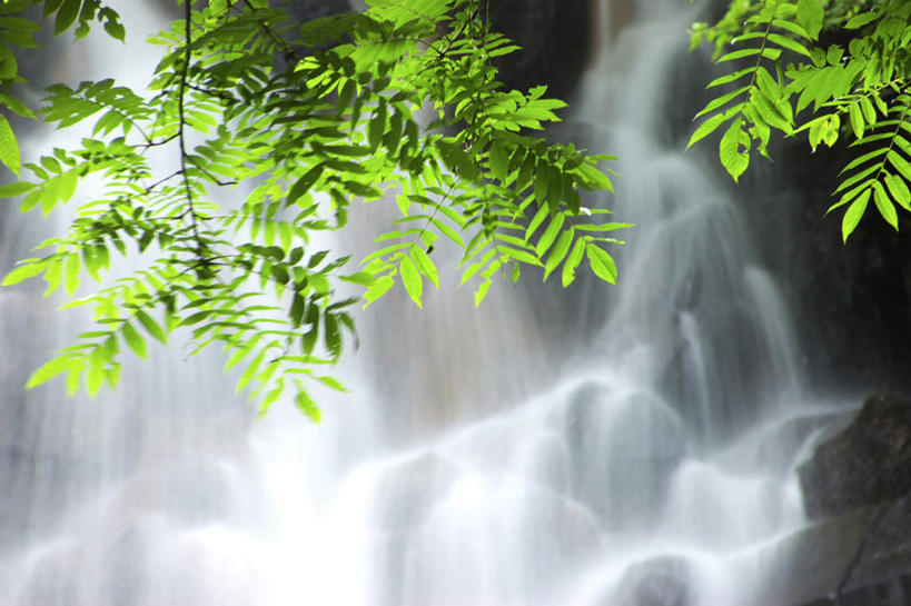 无人,横图,室外,白天,正面,旅游,度假,美景,瀑布,水,叶子,日本,亚洲,飞溅,朦胧,模糊,溅,液体,景观,水滴,绿叶,娱乐,水珠,自然,享受,休闲,嫩叶,景色,放松,喷洒,自然风光,东亚,本州,本州岛,日本国,东北地方,福岛,福岛县,叶,叶片,跌水,彩图