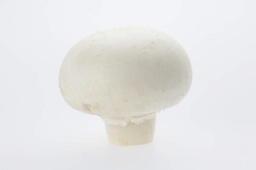 无人,横图,俯视,室内,特写,白天,白色背景,餐桌,桌子,蔬菜,新鲜,菌菇,蘑菇,食品,菌类,食物,一个,白色,食用菌,摄影,有机食品,绿色食品,影棚,单个,餐台,白蘑菇,洋蘑菇,草腐菌,二孢蘑菇,双孢蘑菇,彩图,高角度拍摄,影棚拍摄,拍摄