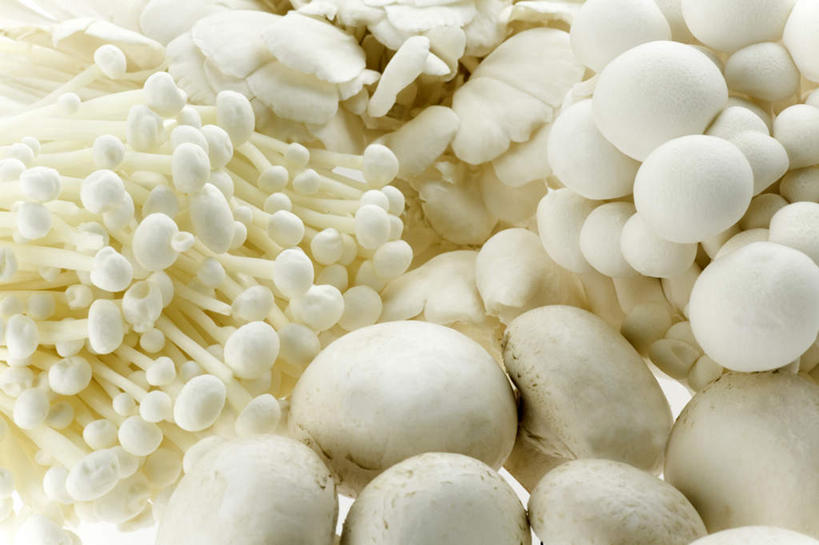 无人,横图,俯视,室内,特写,白天,白色背景,餐桌,桌子,蔬菜,一堆,许多,堆叠,堆积,新鲜,金针菇,菌菇,蘑菇,食品,菌类,食物,白色,食用菌,摄影,有机食品,绿色食品,影棚,餐台,堆,白蘑菇,洋蘑菇,草腐菌,二孢蘑菇,构菌,金菇,毛柄金钱菌,双孢蘑菇,银针菇,智力菇,彩图,高角度拍摄,影棚拍摄,拍摄