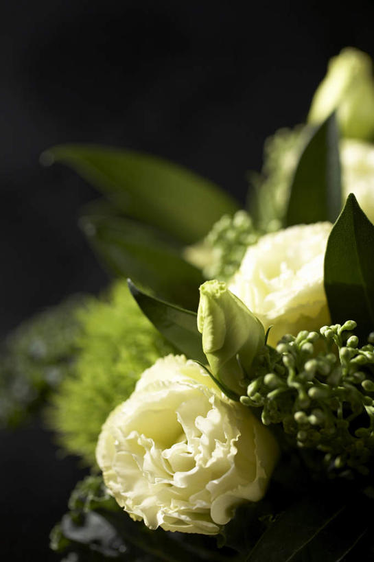 无人,竖图,室内,特写,白天,正面,热情,康乃馨,花瓶,许多,黑色背景,朦胧,模糊,盛开,陶瓷,陶瓷制品,祝福,花蕾,花,花瓣,花朵,鲜花,绿色,瓶子,花苞,花蕊,母爱,清纯,摄影,影棚,亲情,思念,宽容,热恋,真挚,热心,麝香石竹,石竹,香石竹,彩图,影棚拍摄,拍摄,魅力