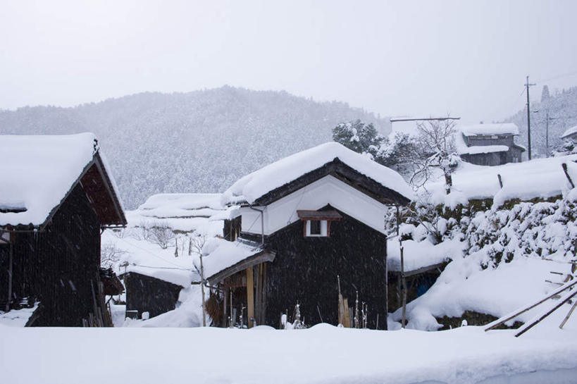 无人,家,木屋,横图,室外,白天,正面,旅游,度假,美景,森林,树林,雪,植物,大雪,日本,亚洲,朦胧,模糊,积雪,景观,雪景,冬季,冬天,娱乐,住宅,树,树木,绿色,自然,享受,休闲,景色,放松,寒冷,生长,成长,自然风光,东亚,本州,本州岛,日本国,近畿地方,近畿,滋贺,滋贺县,严寒,彩图,茅舍,茅屋,棚屋,小木屋,小屋