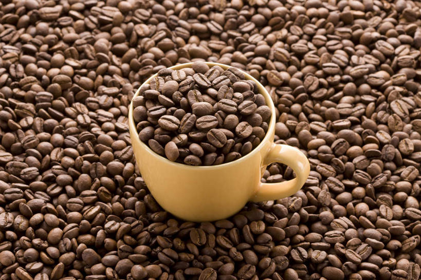 咖啡,无人,横图,俯视,室内,特写,白天,植物,餐桌,桌子,豆,杯子,一堆,许多,堆叠,堆积,朦胧,模糊,瓷器,豆类,豆子,咖啡杯,陶瓷制品,一个,咖啡豆,摄影,影棚,单个,餐台,堆,瓷杯,豆科,咖啡因,彩图,高角度拍摄,影棚拍摄,拍摄