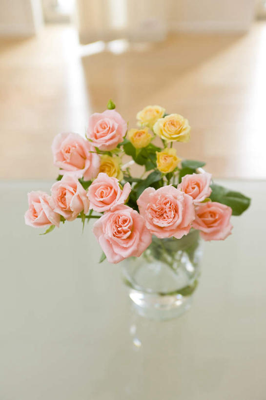 无人,家,客厅,竖图,俯视,室内,白天,爱情,幸福,纯洁,热情,别墅,地板,家具,装修,桌子,建筑,玫瑰,花瓶,欧式,朦胧,模糊,装饰,盛开,房屋,屋子,公寓,玫瑰花,地面,豪华,浪漫,花蕾,茶几,建设,现代,装潢,洋房,楼房,木地板,住宅,玻璃制品,花,花瓣,花朵,鲜花,粉色,玻璃瓶,瓶子,室内装潢,花苞,花蕊,温暖,温馨,恩爱,明亮,和睦,起居室,舒适,家居装潢,感动,房屋设计,地中海风格,简约风格,室内设计,宽敞,样板房装潢,尊敬,天真,刺玫花,徘徊花,设计,彩图,高角度拍摄,房子,融洽