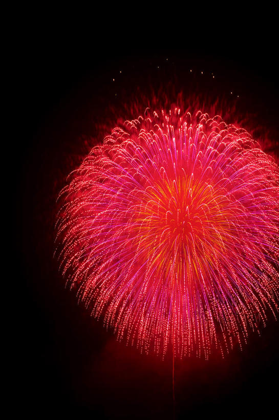 无人,竖图,室外,特写,夜晚,仰视,旅游,度假,烟火,朦胧,模糊,庆祝,美丽,娱乐,黑色,天空,焰火,天,享受,休闲,闪耀,放松,庆贺,闪烁,祝贺,礼花,花炮,礼花炮,绚烂,闪动,闪灼,烟花,彩图,低角度拍摄