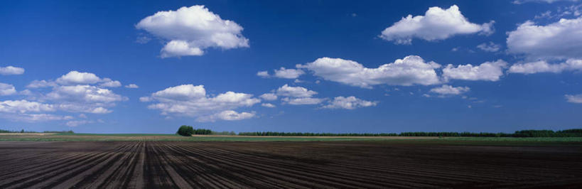 无人,农田,横图,全景,室外,白天,正面,旅游,度假,庄稼,农作物,美景,天际线,植物,北海道,日本,亚洲,阴影,光线,影子,地平线,景观,云,云朵,辽阔,地面,云彩,娱乐,树,树木,蓝色,绿色,白云,蓝天,天空,阳光,自然,天,享受,休闲,景色,放松,生长,晴朗,成长,一望无际,自然风光,延伸,东亚,日本国,天地相交,北海道地方,北海道岛,河西郡,晴空,彩图,耕地,庄稼田