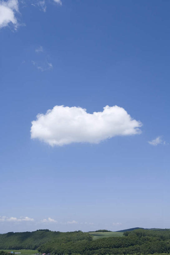 无人,农田,竖图,全景,室外,白天,仰视,旅游,度假,庄稼,农作物,草地,草坪,美景,天际线,植物,北海道,日本,亚洲,朦胧,模糊,地平线,景观,云,云朵,辽阔,地面,云彩,娱乐,草,树,树木,蓝色,绿色,白云,蓝天,天空,自然,天,享受,休闲,景色,放松,生长,晴朗,成长,一望无际,自然风光,延伸,东亚,日本国,天地相交,北海道地方,北海道岛,美瑛町,美瑛,晴空,彩图,低角度拍摄,耕地,庄稼田