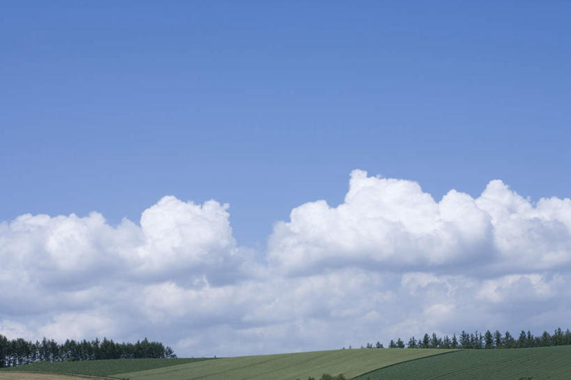 无人,农田,横图,全景,室外,白天,仰视,旅游,度假,庄稼,农作物,草地,草坪,美景,树林,天际线,植物,北海道,日本,亚洲,地平线,景观,云,云朵,辽阔,地面,云彩,娱乐,草,树,树木,蓝色,绿色,白云,蓝天,天空,自然,天,享受,休闲,景色,放松,生长,晴朗,成长,一望无际,自然风光,延伸,东亚,日本国,天地相交,北海道地方,北海道岛,美瑛町,美瑛,晴空,彩图,低角度拍摄,耕地,庄稼田